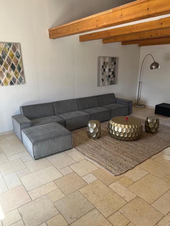 Magnifique Villa Avec Piscine Saint-Maximin Εξωτερικό φωτογραφία